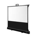 Optoma DP-9046MWL - projection screen - 46