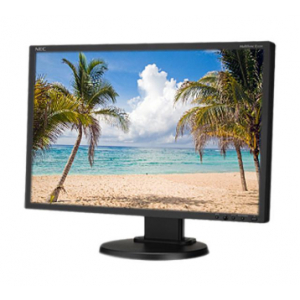 E222W 22" LCD Monitor Black