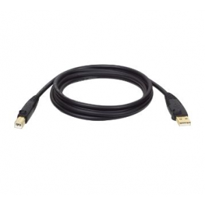 Tripp Lite U022-010 USB cable 120.1 (3.05 m) USB 2.0 USB A USB B Black